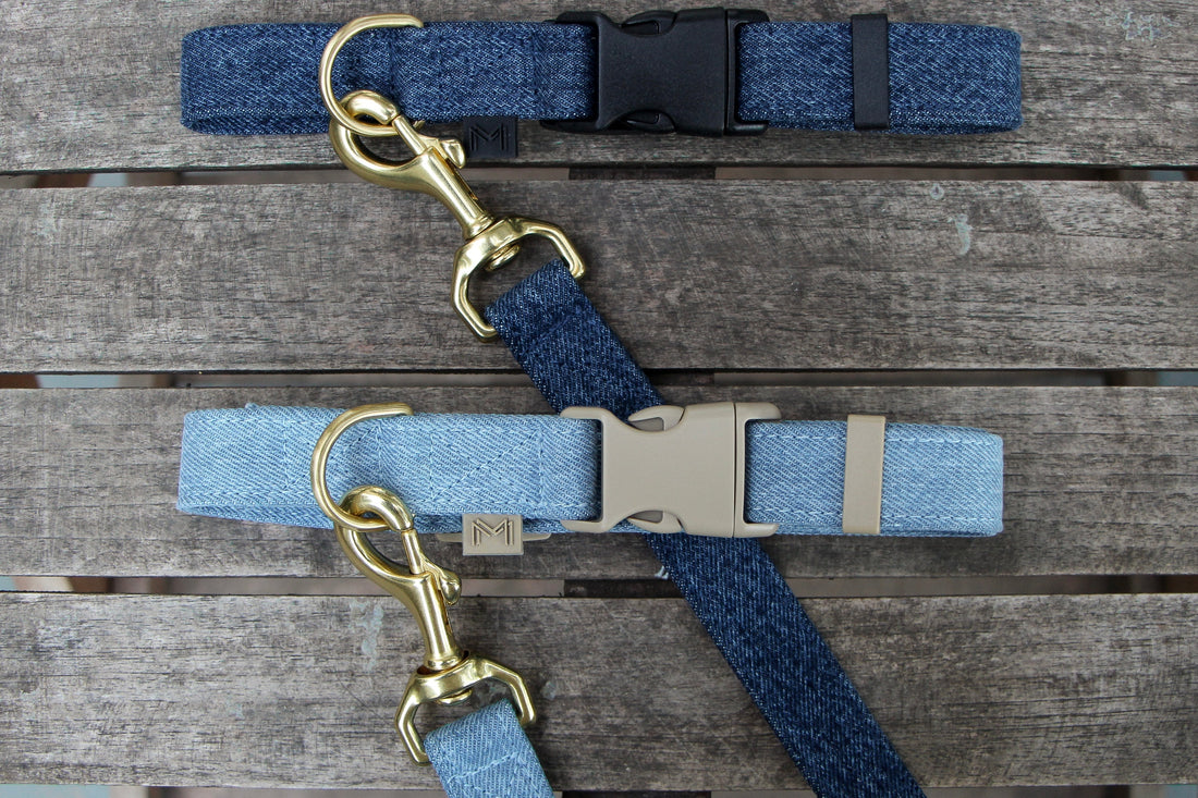 Denim and Brass: A Love Story in Pet Accessories for Valentine’s Day