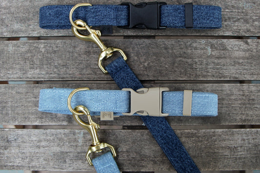 Denim and Brass: A Love Story in Pet Accessories for Valentine’s Day