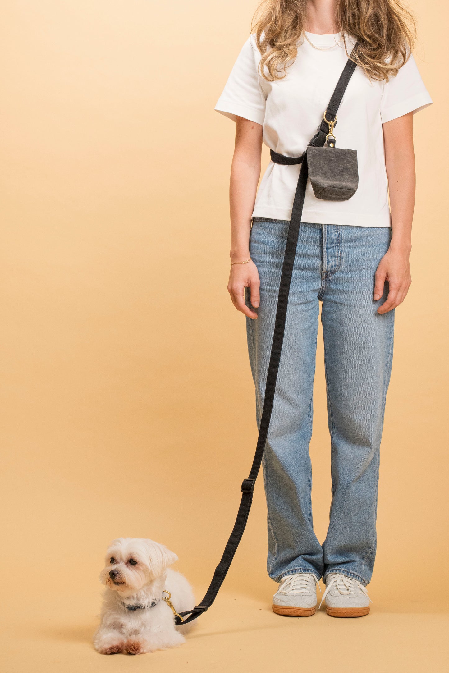 Cotton Canvas Hands-Free Dog Leash | Adjustable Running & Waist Leash