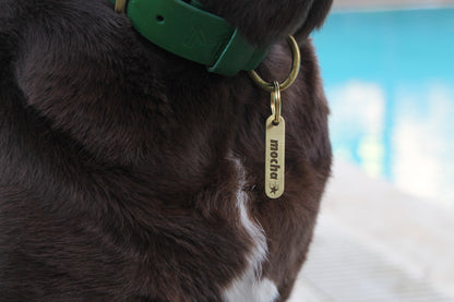 Brass Pet ID Tag | Custom Engraved Dog Tag for Pets