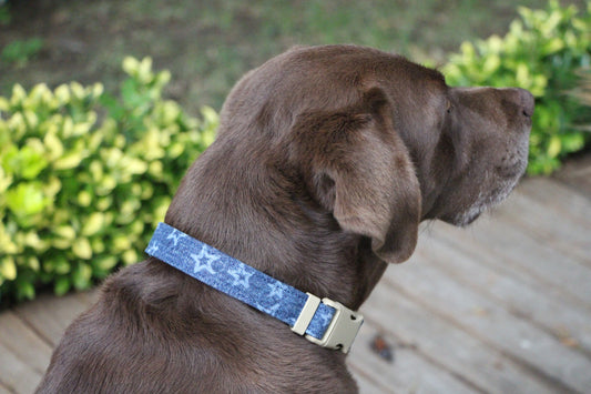 Star Printed Denim Dog Collar