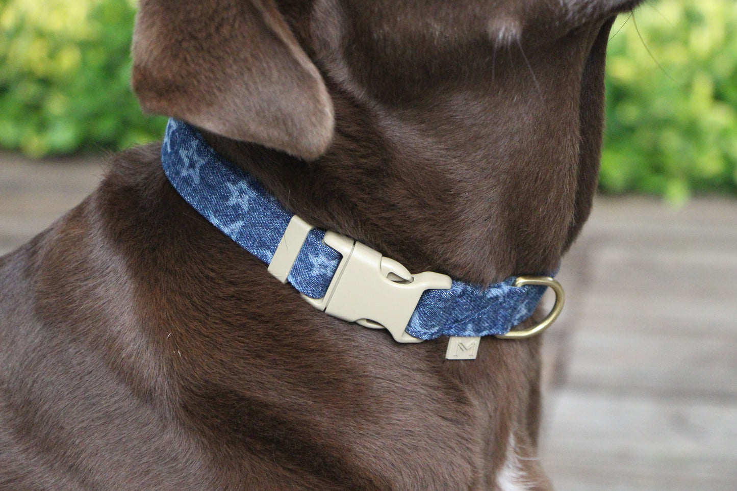 Star Printed Denim Dog Collar