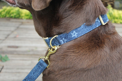 Star Printed Denim Dog Collar