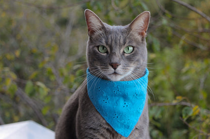 Eyelet Cat Bandana | Stylish & Breathable Cotton Accessory for Cats