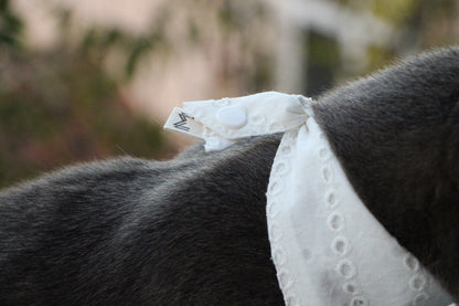 Cat bandana with adjustable plastic snaps, easy to put on and take off.