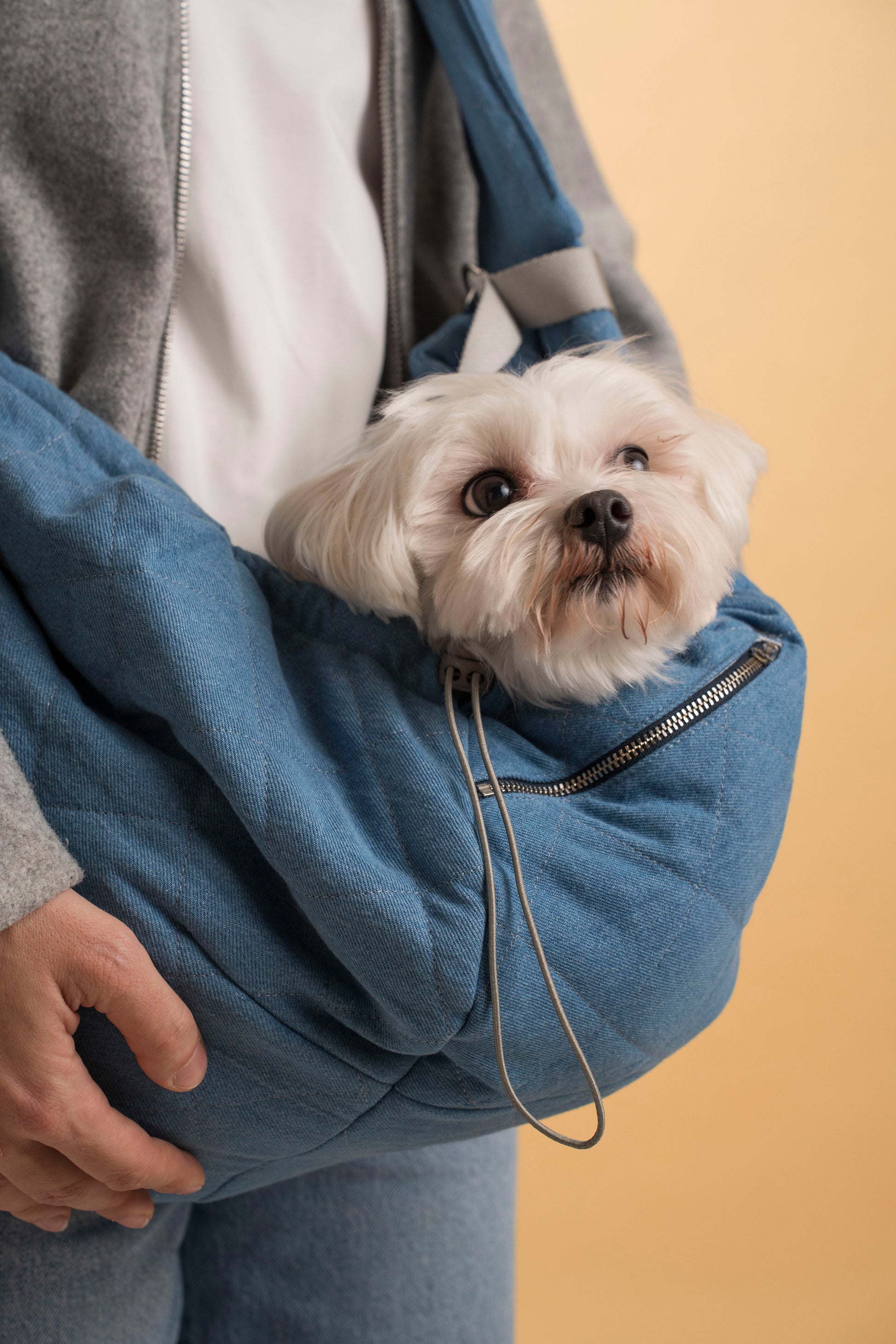 Denim pet sling carrier for travel and daily use, suitable for small dogs and cats.