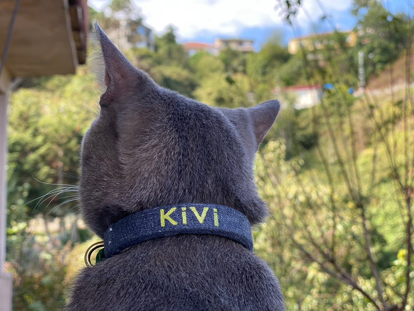 Denim sleeve cover for cat collars, personalized with name.