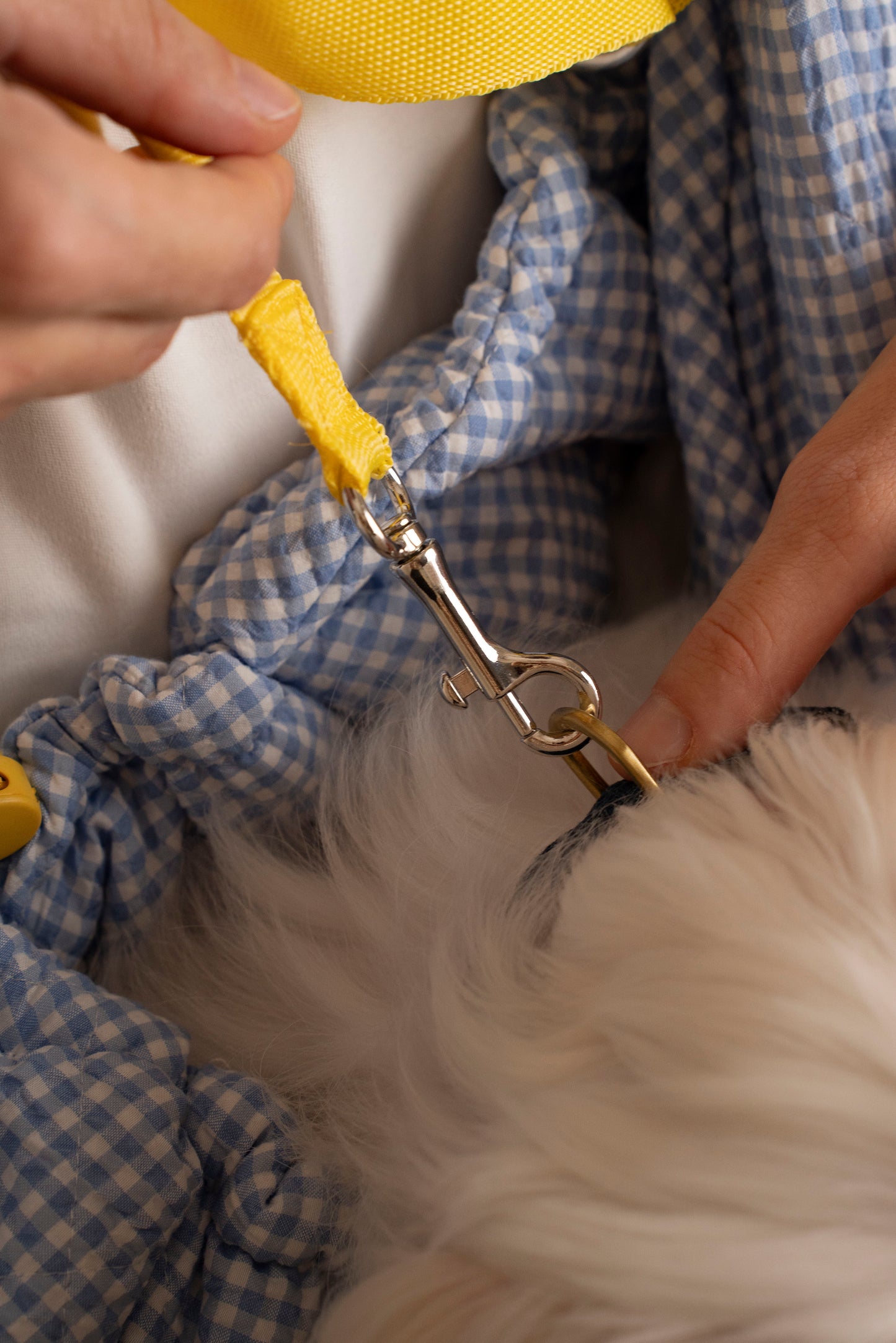 Dog carrier sling with a built-in leash, designed for safe and secure transport.