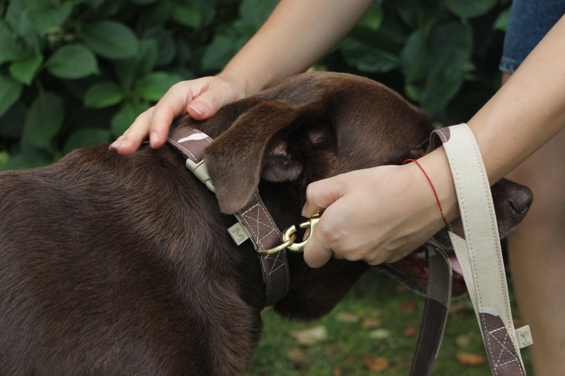 Durable dog leash with camouflage pattern, ideal for active dogs.