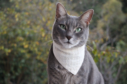 Elegant cat bandana featuring eyelet detailing and a sophisticated design.