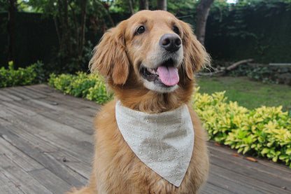 Meet our Eyelet Dog Bandana —made from breathable cotton fabric and stylish design.