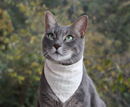 Here’s a cat rocking the Eyelet Pet Bandana in beige. It’s stylish, comfortable, and perfect for those little ones.