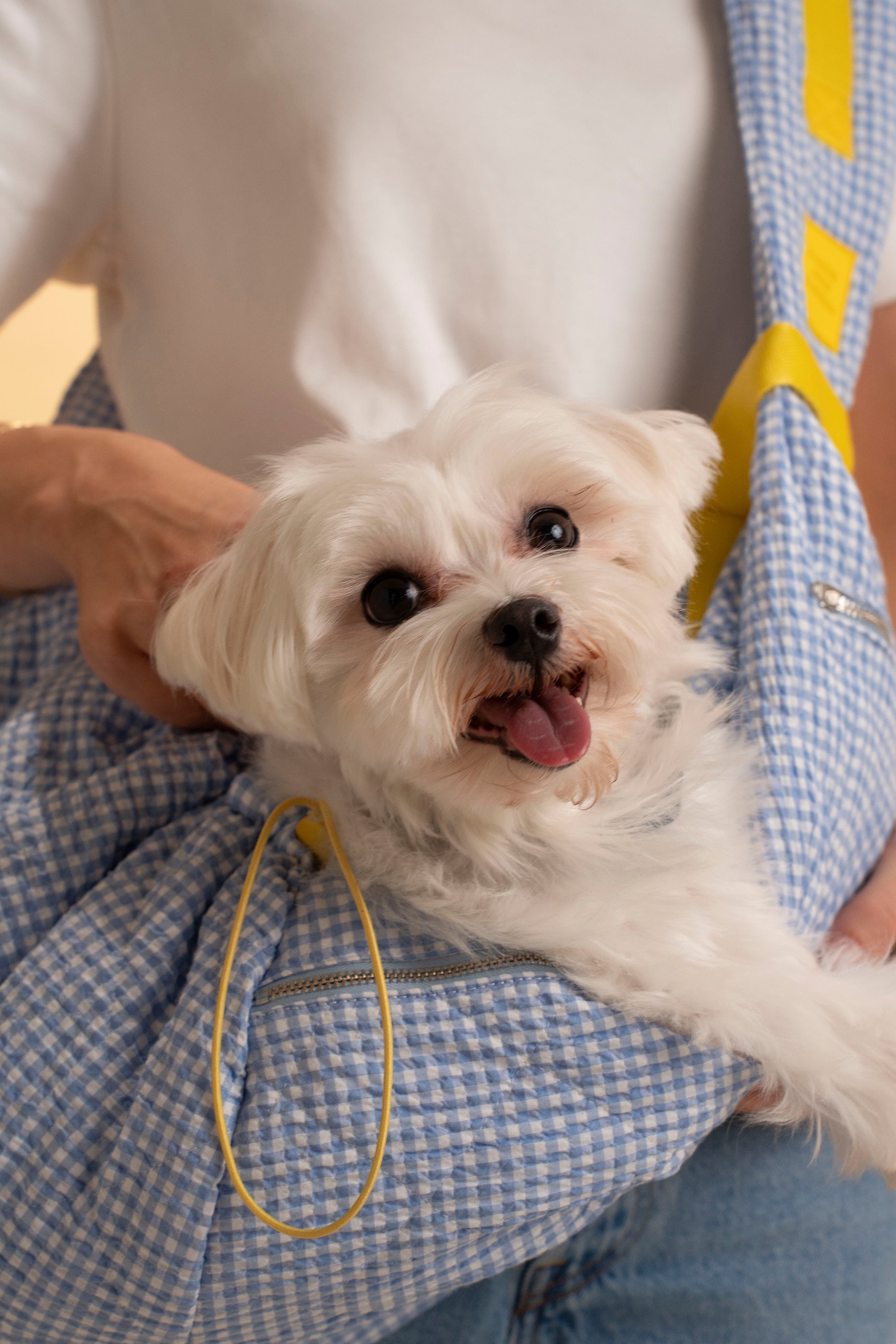 White and blue gingham pet carrier sling made with breathable fabric for long walks