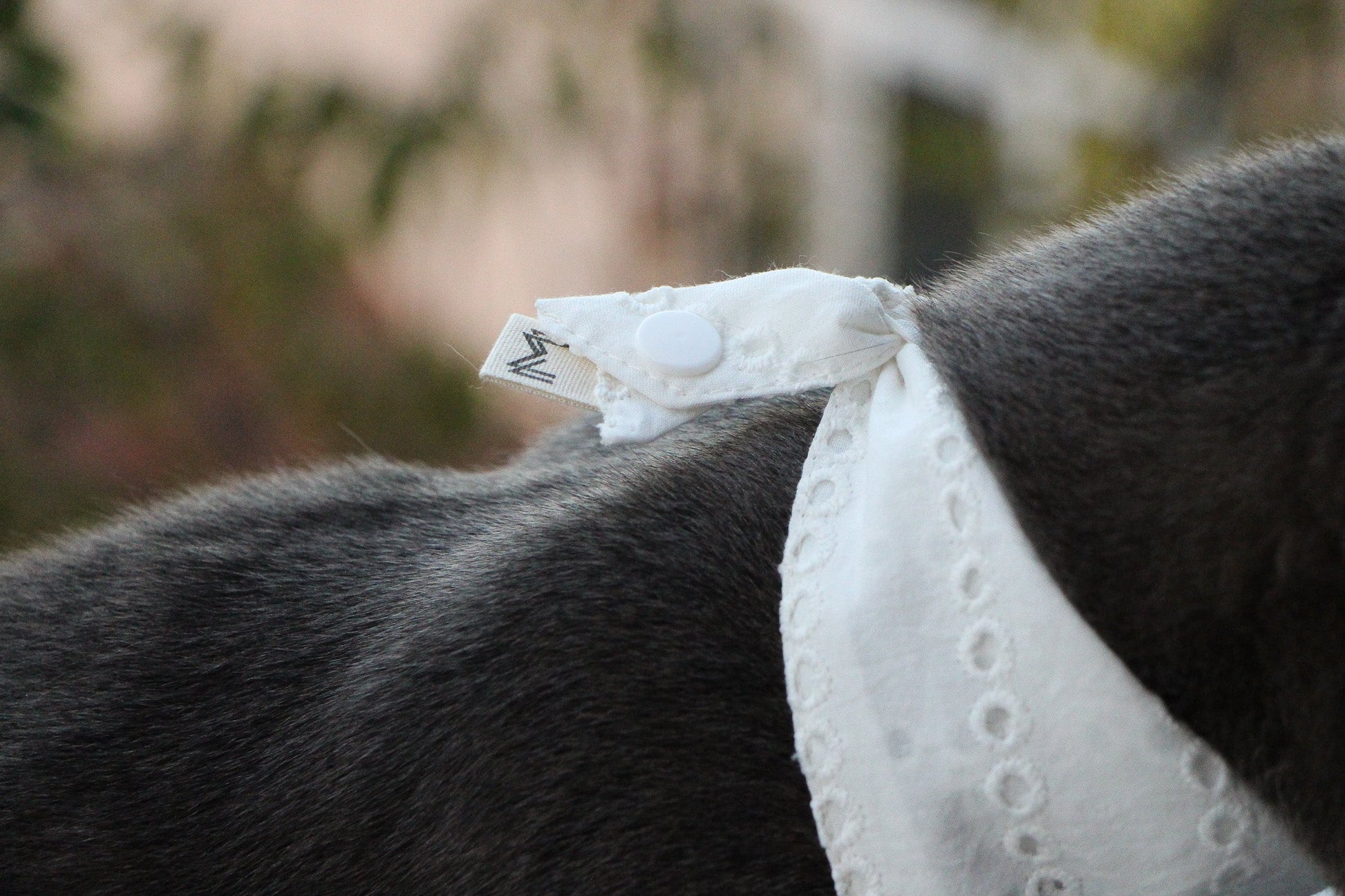 Close-up of eyelet detailing on breathable dog bandana.