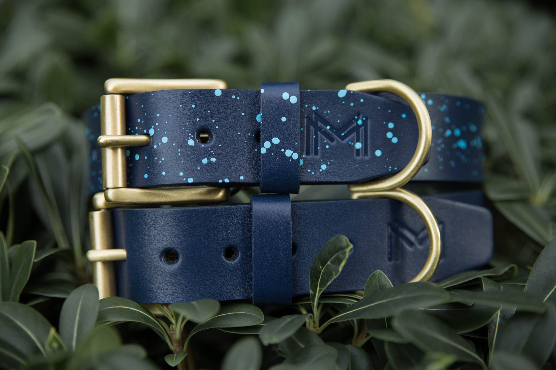 Leather dog collar with hand-painted details and a sturdy brass buckle.