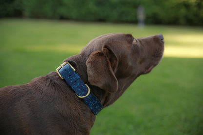 Custom hand-painted dog collar showcasing vibrant and personalized designs.