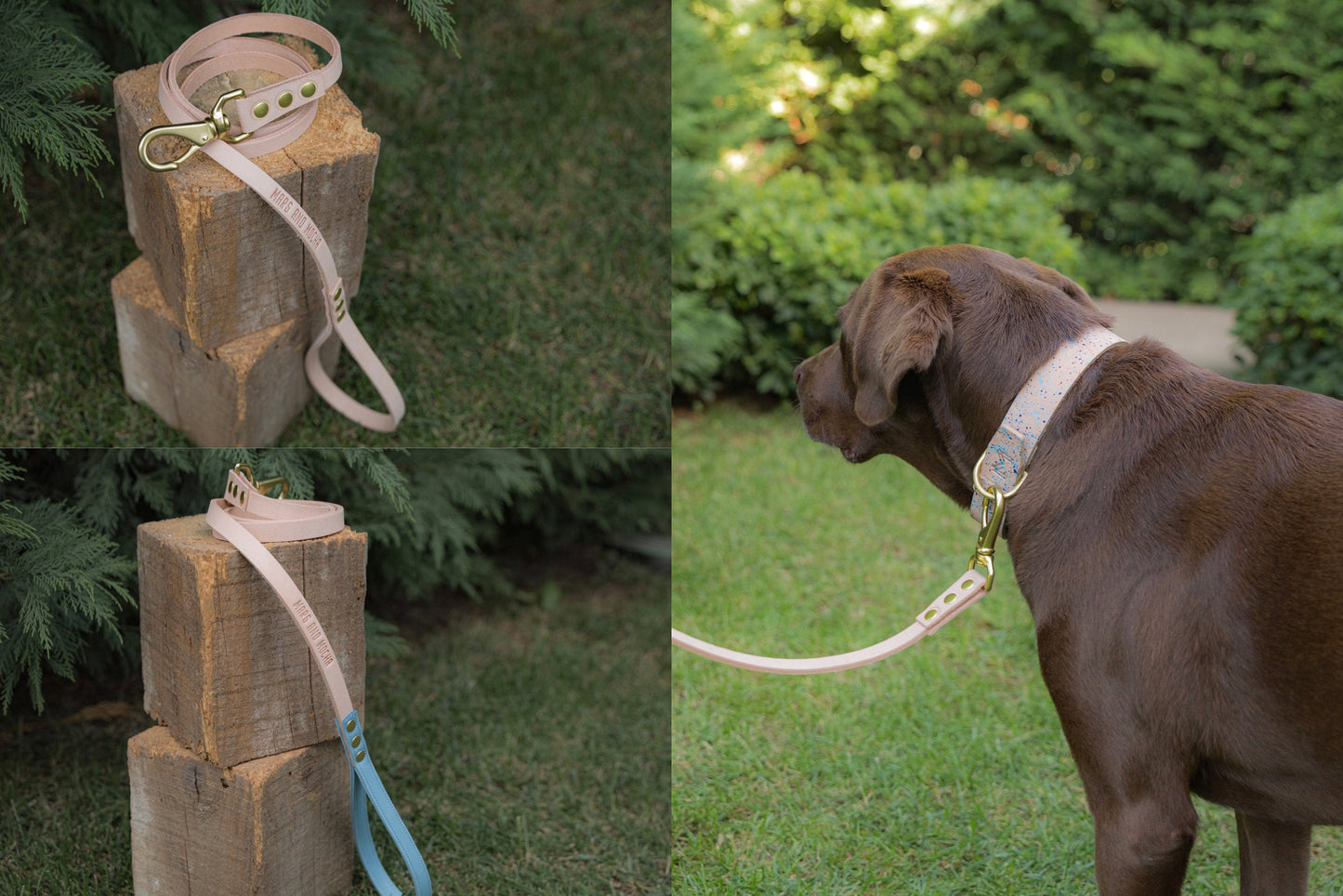 Designer dog collar and leash set.