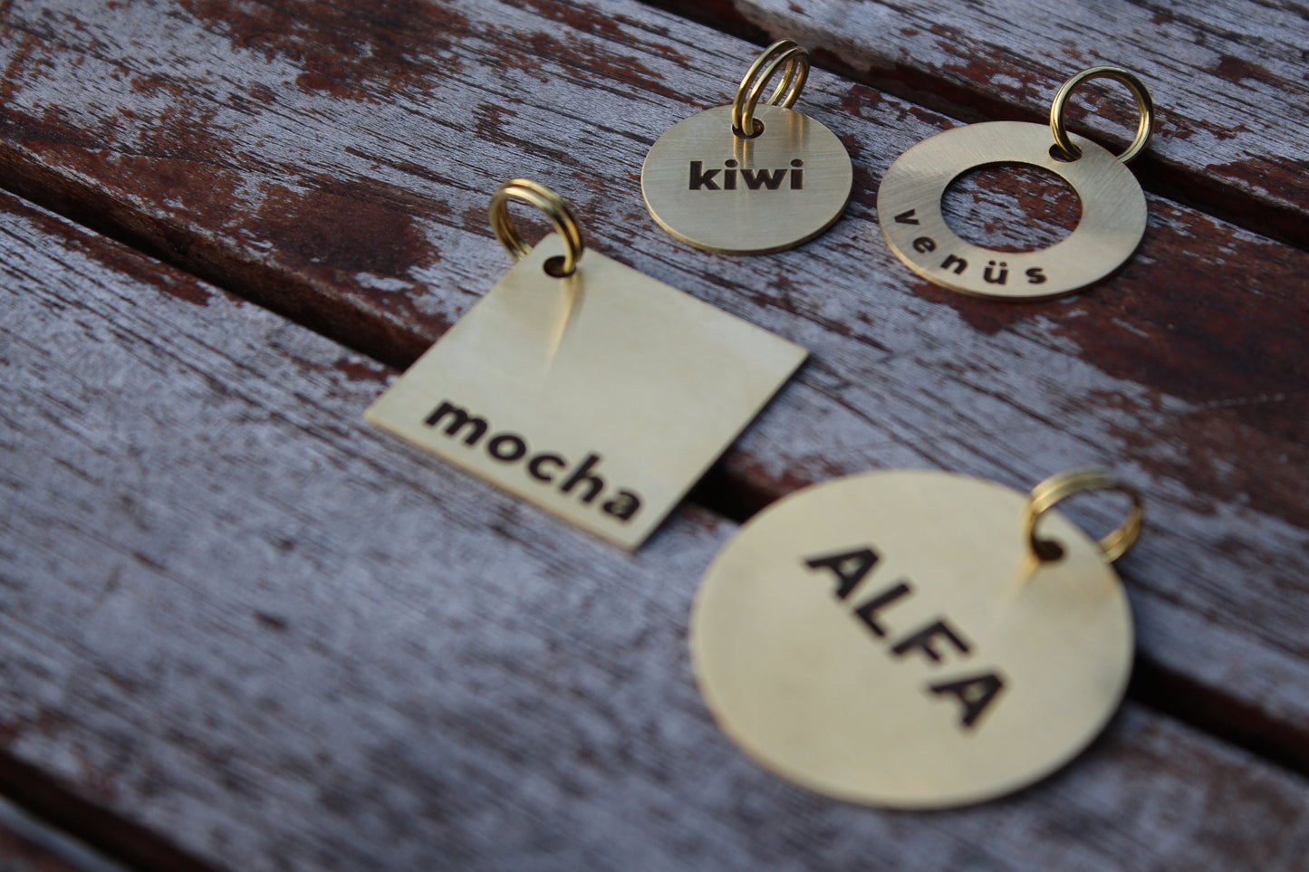 Custom engraved brass dog tag.