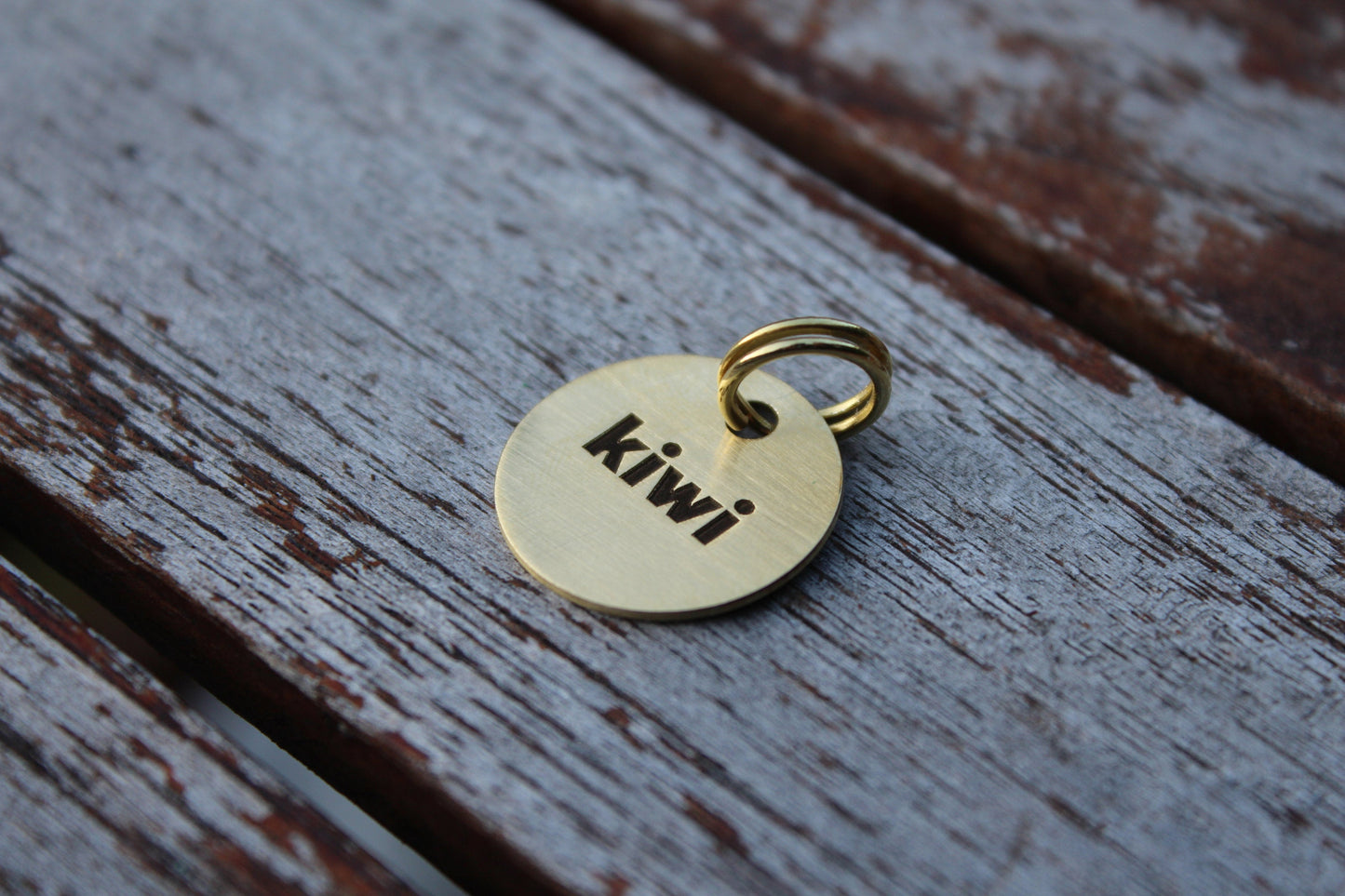 Round brass tag for pet identification.