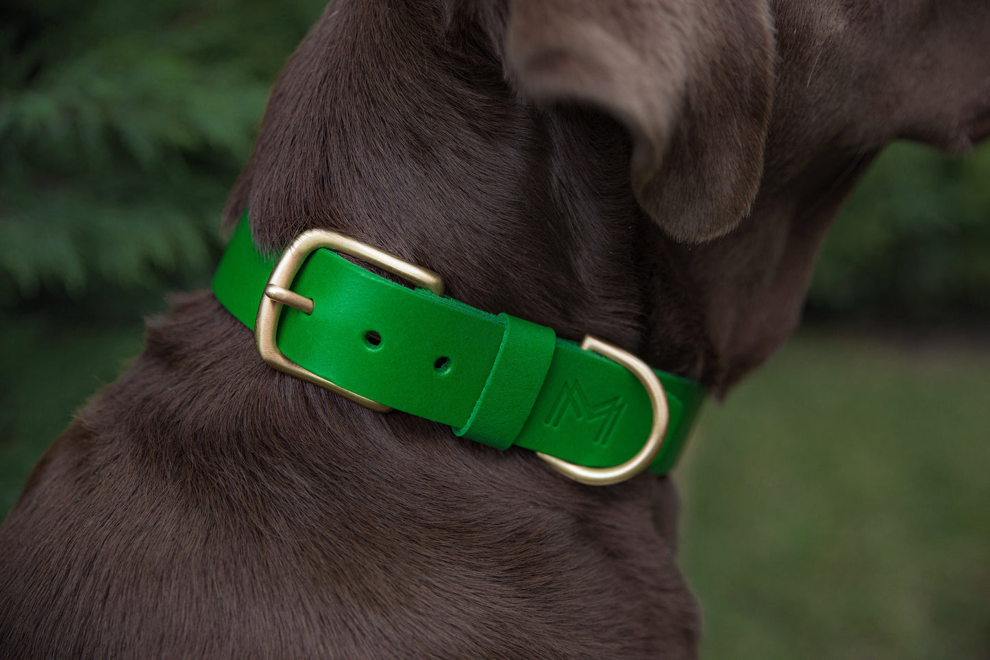 Personalized Green Leather Dog Collar