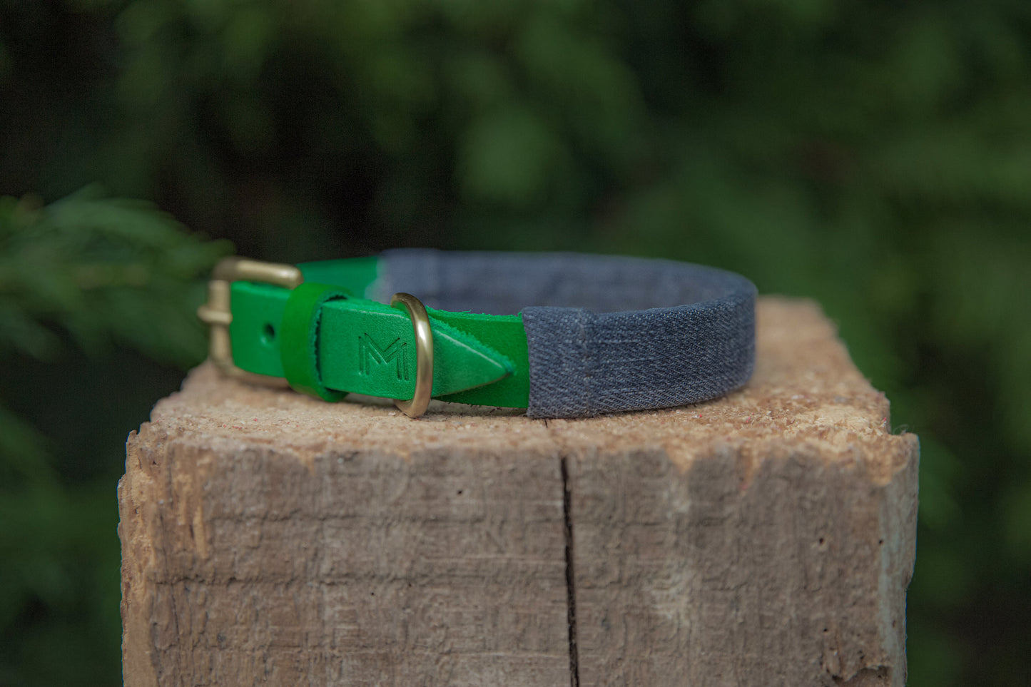 Personalized Green Leather Dog Collar