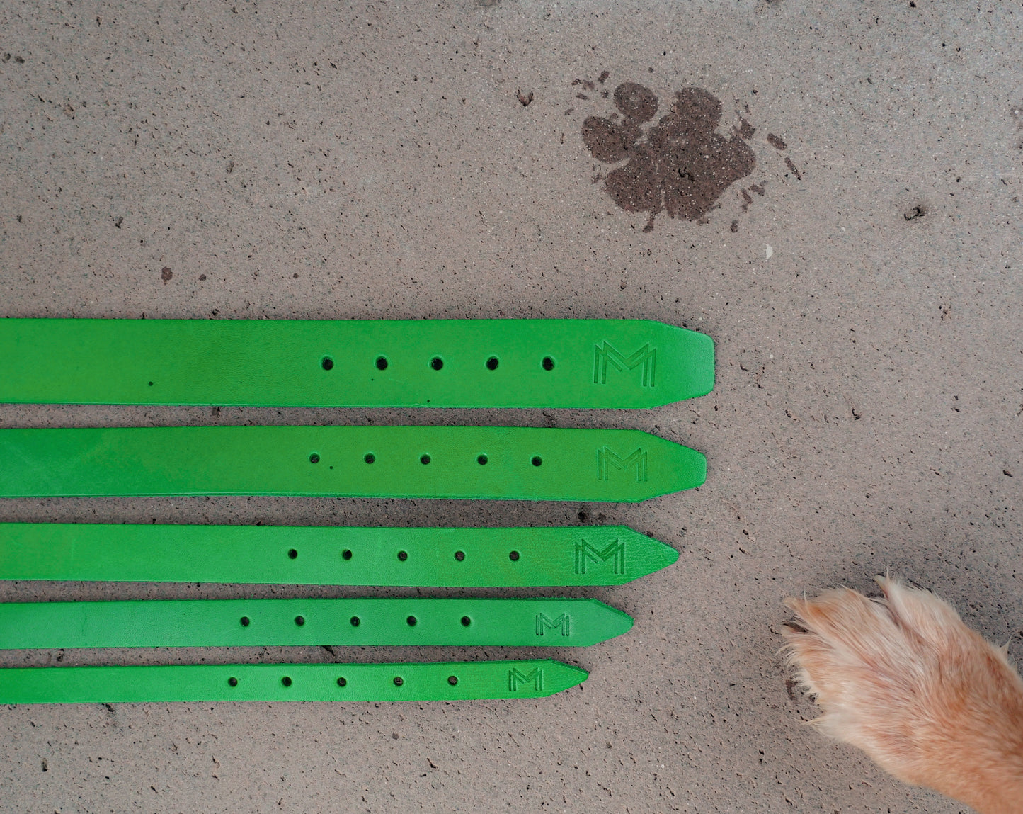 Personalized Green Leather Dog Collar