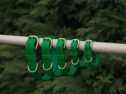 Personalized Green Leather Dog Collar