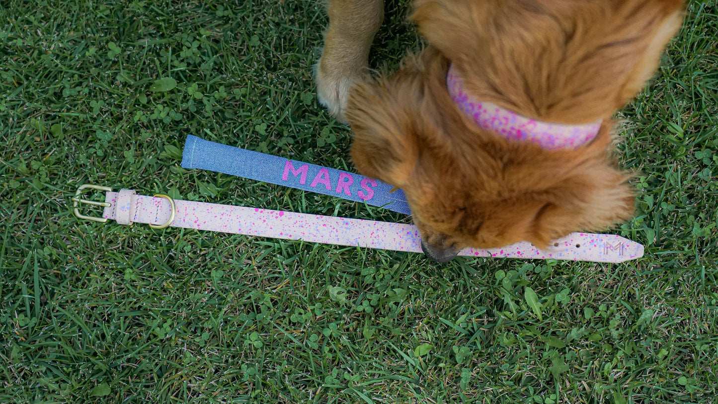 Personalized leather dog collar featuring detailed hand-painted artwork.