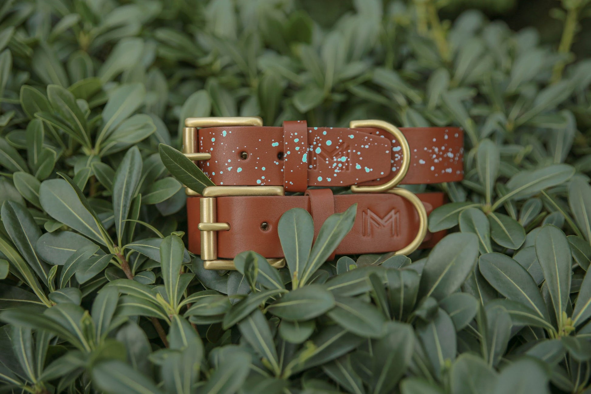 Hand-painted tan leather dog collar with unique, artistic details.