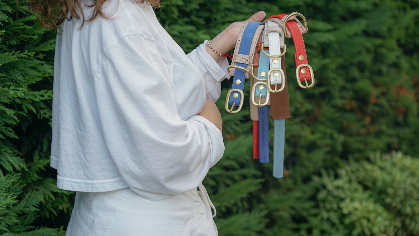 Two-Layer Leather Dog Collar