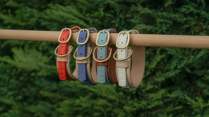 Two-Layer Leather Dog Collar