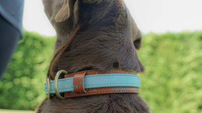 Two-Layer Leather Dog Collar