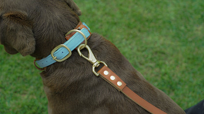 Two-Layer Leather Dog Collar