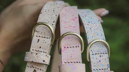 Designer Dog Collar | Custom Leather Pet Collar