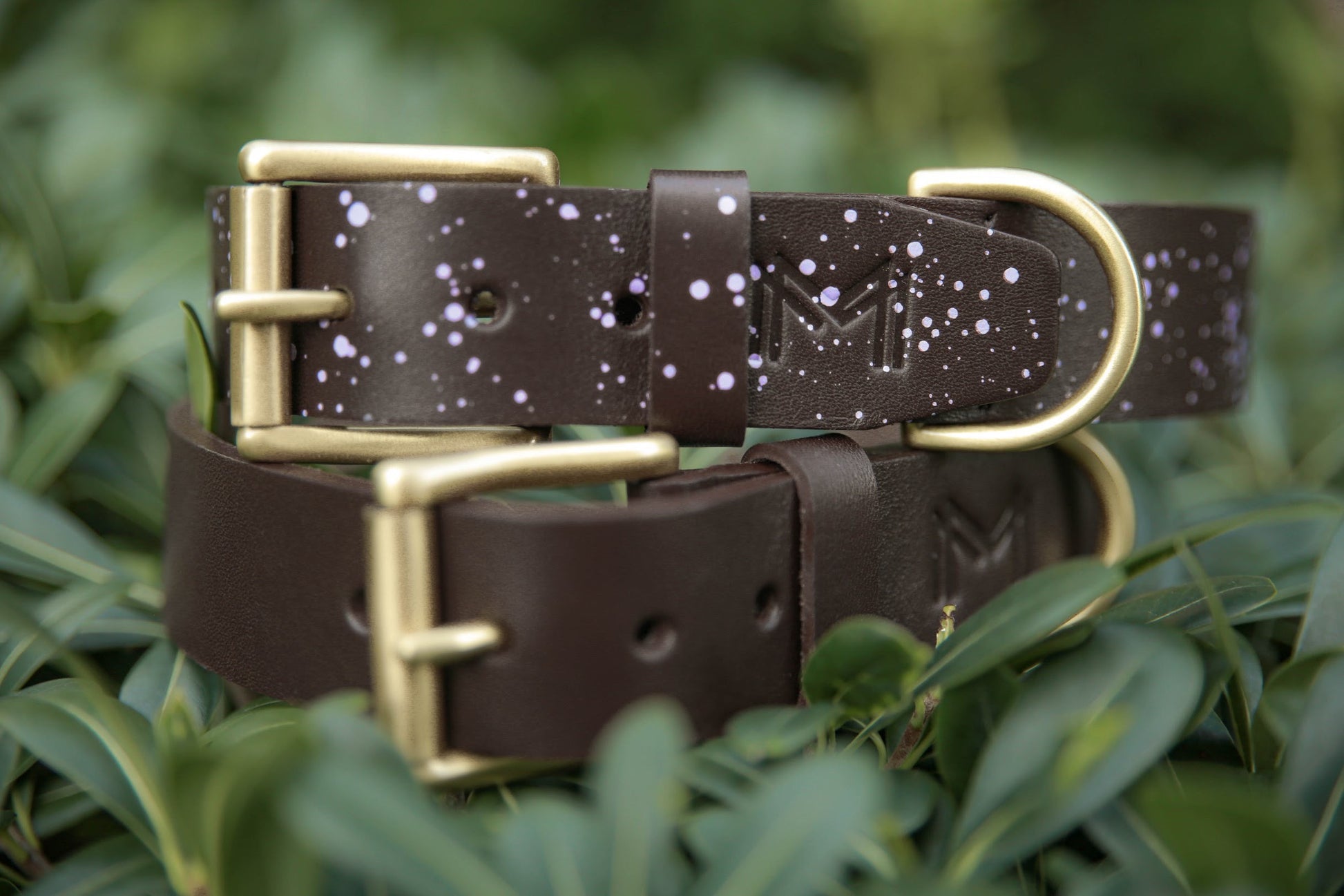 Personalized brown dog collar featuring detailed hand-painted artwork.