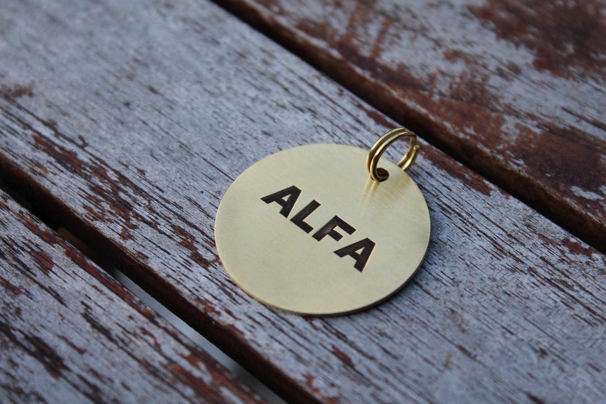Round brass pet ID tag with custom engraving.